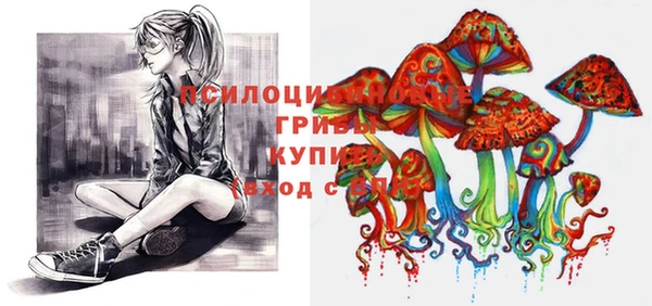 первитин Белоозёрский