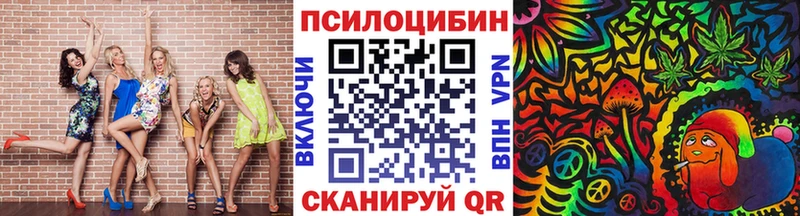 Псилоцибиновые грибы Psilocybe  наркота  Армавир 